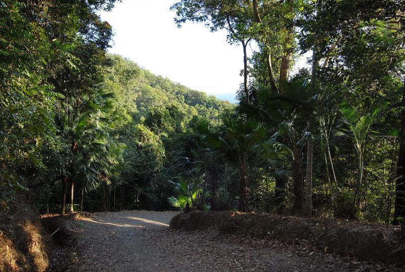 Cloud 9 Villa Daintree Exterior foto
